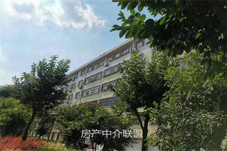 城洲际花园附近三室两厅一卫简装出售带储藏室
